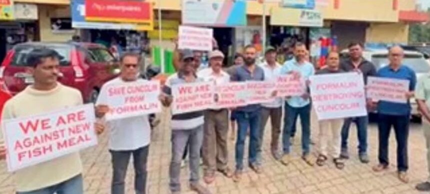 Cuncolim fish meal row deepens as councillor alleges minister’s backing 1 Cuncolim fish meal row deepens as councillor alleges minister’s backing