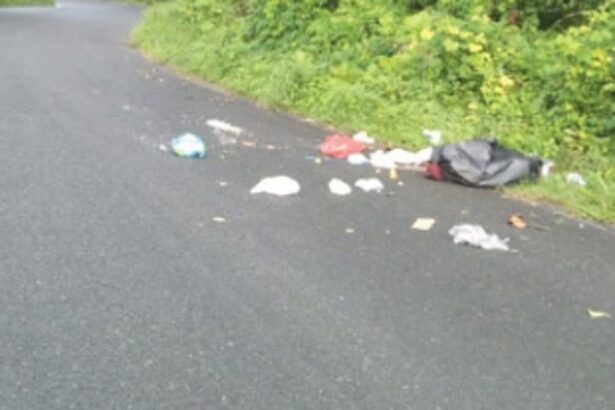 Curb garbage menace at Fatrade-Varca