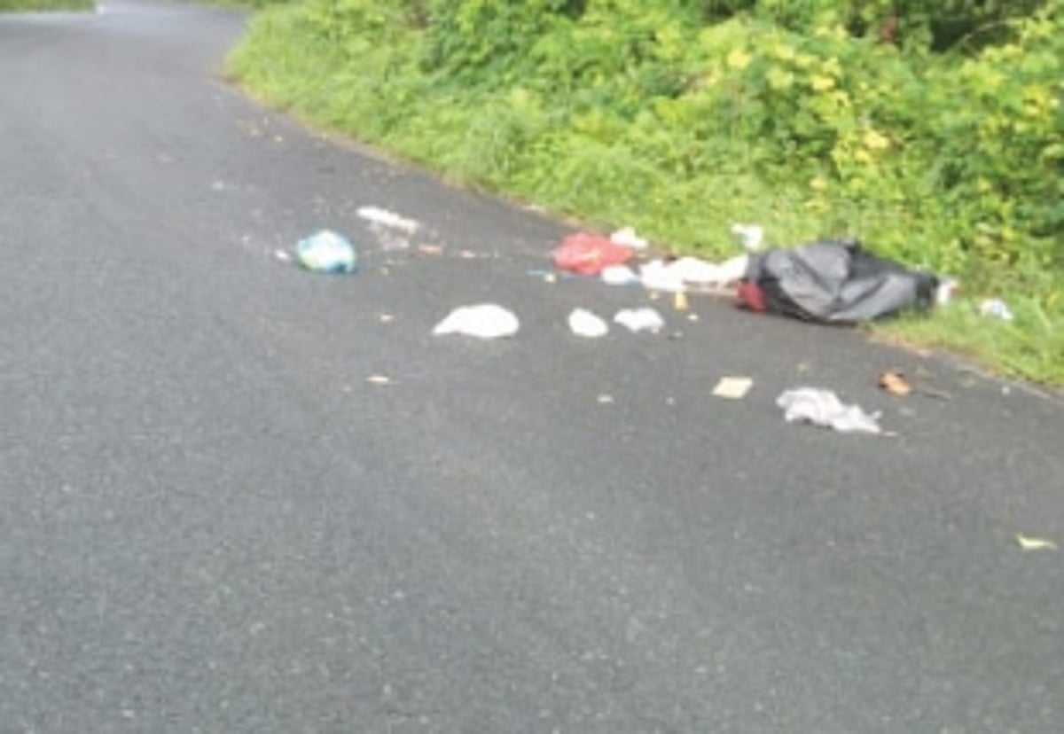 Curb garbage menace at Fatrade-Varca
