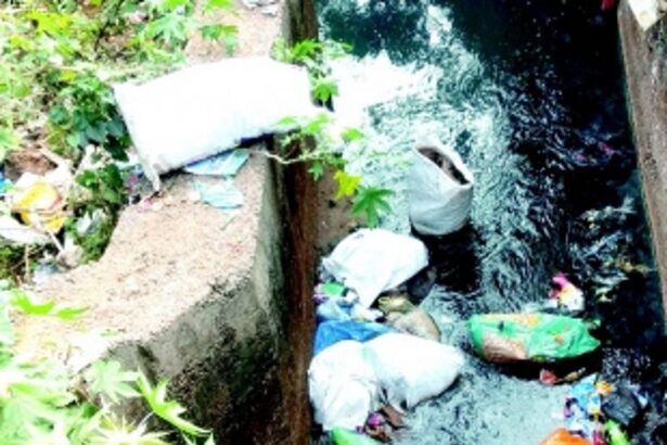 Curti drain turns into dumping ground for waste, carcasses