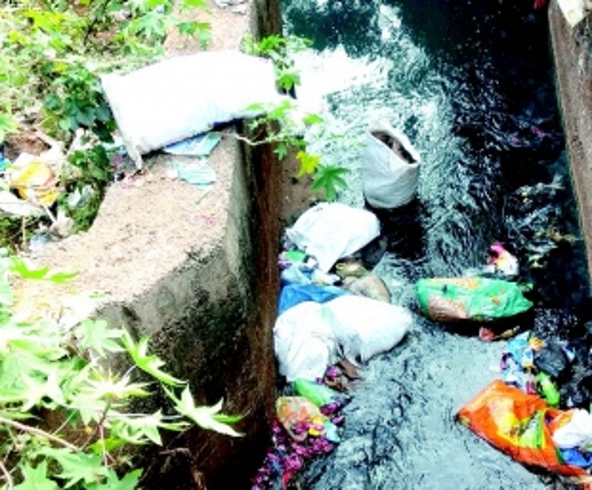 Curti drain turns into dumping ground for waste, carcasses