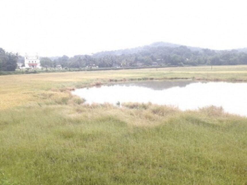 Curtorim has to wait longer to become State’s first biodiversity site