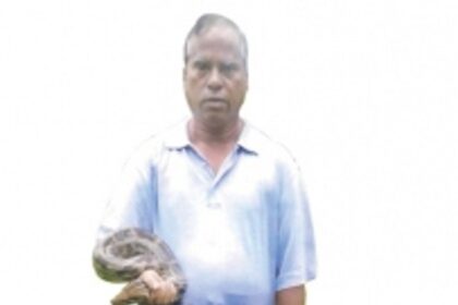Curtorim priest catches  100th python