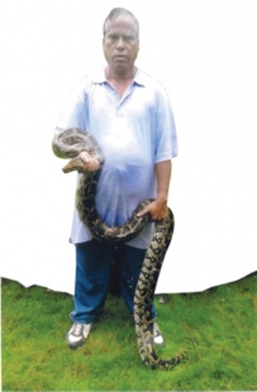 Curtorim priest catches  100th python