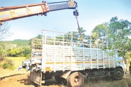 Curtorim villagers foil installation  of mobile tower near lake