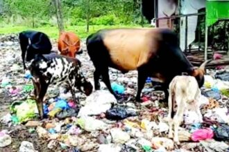 Curtorim’s pristine image tarnished as garbage piles up at Vagullem