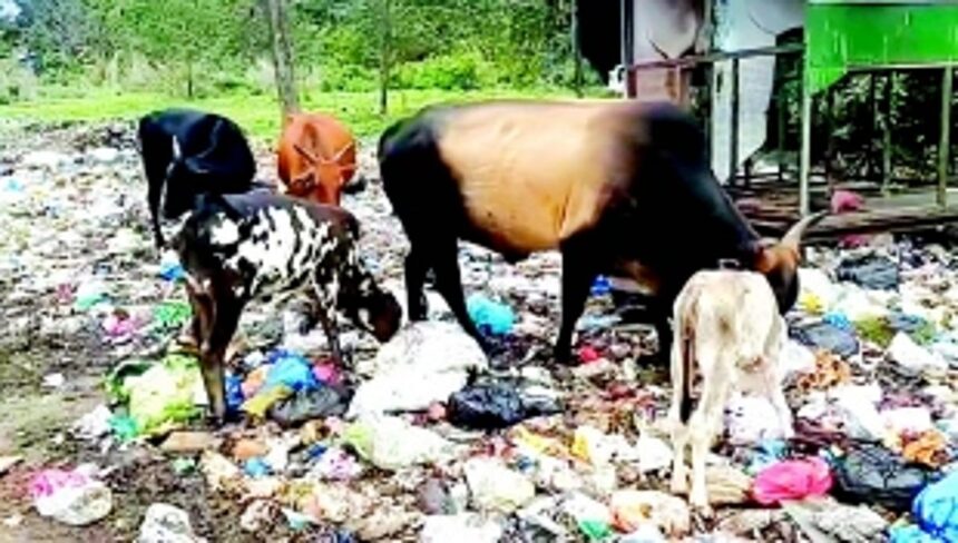 Curtorim’s pristine image tarnished as garbage piles up at Vagullem