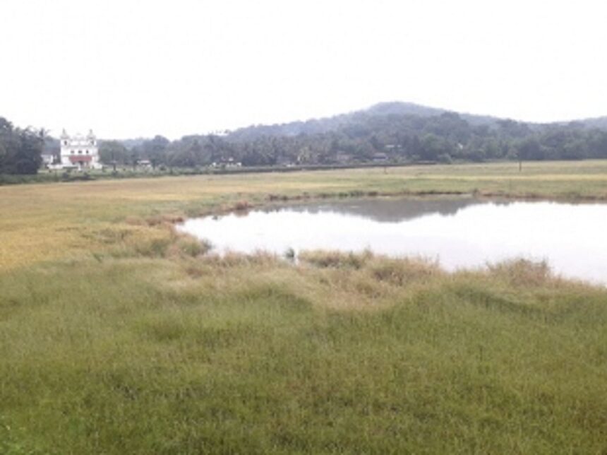 Curtorim’s wait to be first Biodiversity Heritage Site still in limbo