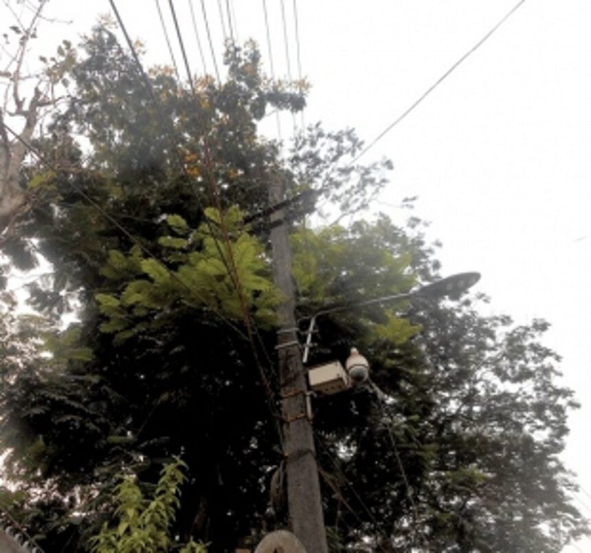 Cut branches touching electrical wires
