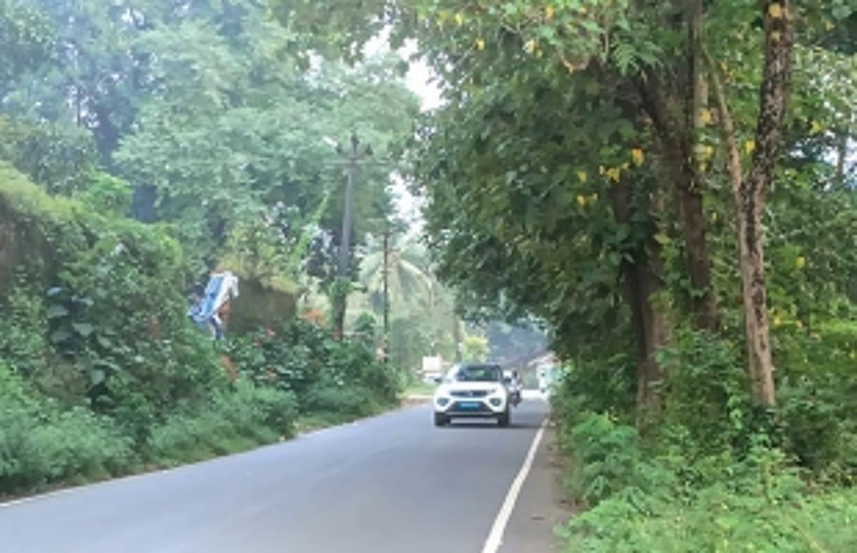 Cut dangerous trees,  demand Quepem locals