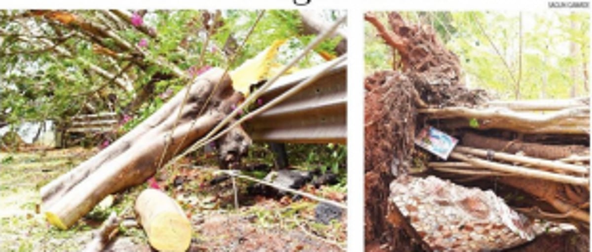 Cyclone Tauktae renders heavy blow to Mormugao taluka