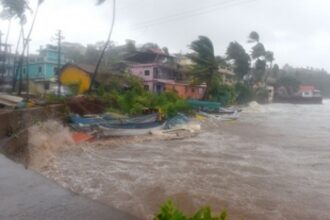 Cyclone losses pegged at ` 40 cr