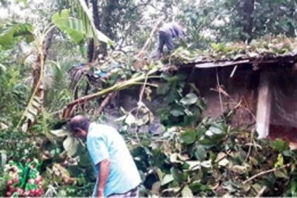 Cyclonic winds, rains damage houses,  plantations in Sanguem, Sanvordem