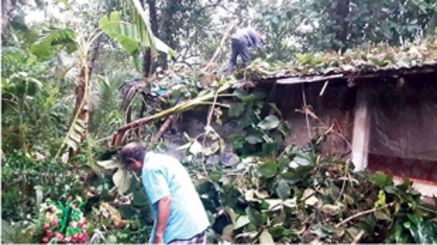 Cyclonic winds, rains damage houses, plantations in Sanguem, Sanvordem 1 Cyclonic winds, rains damage houses, plantations in Sanguem, Sanvordem