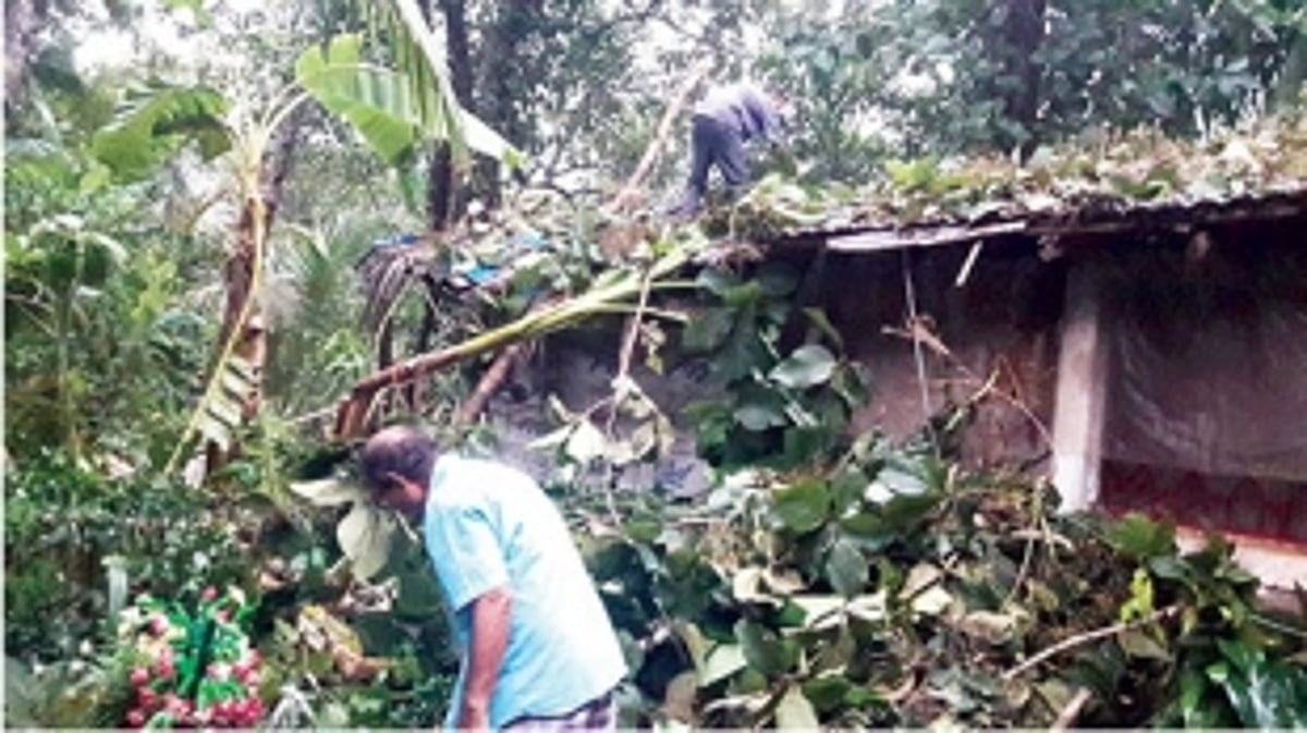 Cyclonic winds, rains damage houses,  plantations in Sanguem, Sanvordem