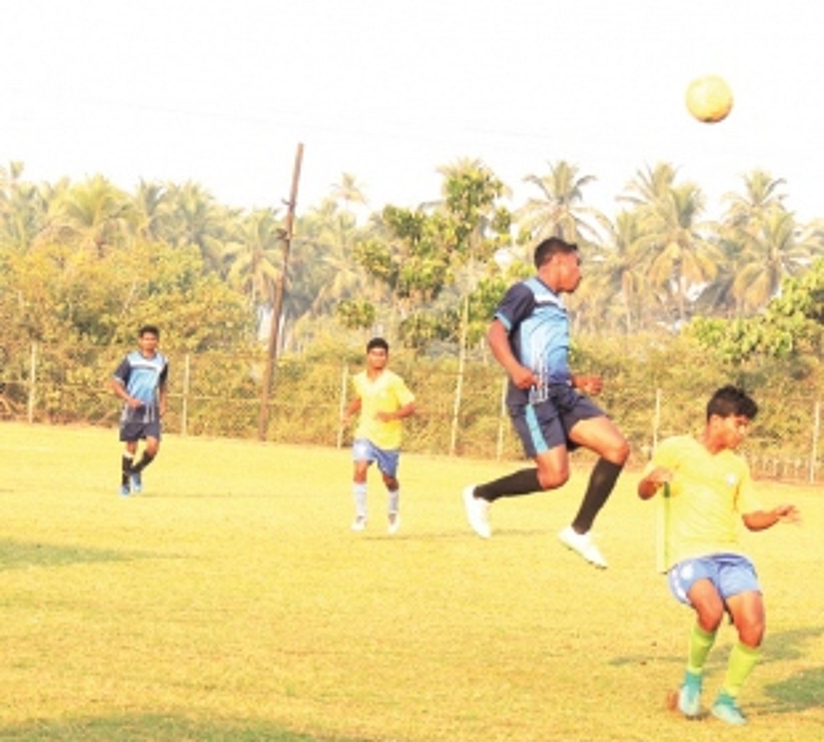 DBO Fatorda sail into semis
