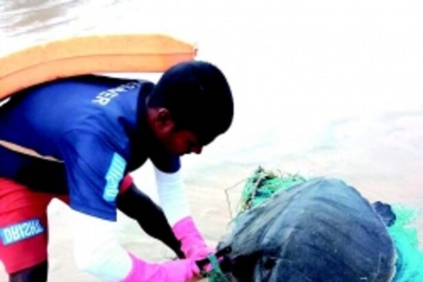 DEATH TRAPS IN SEA: ‘Ghost nets’ threaten marine life in Goa