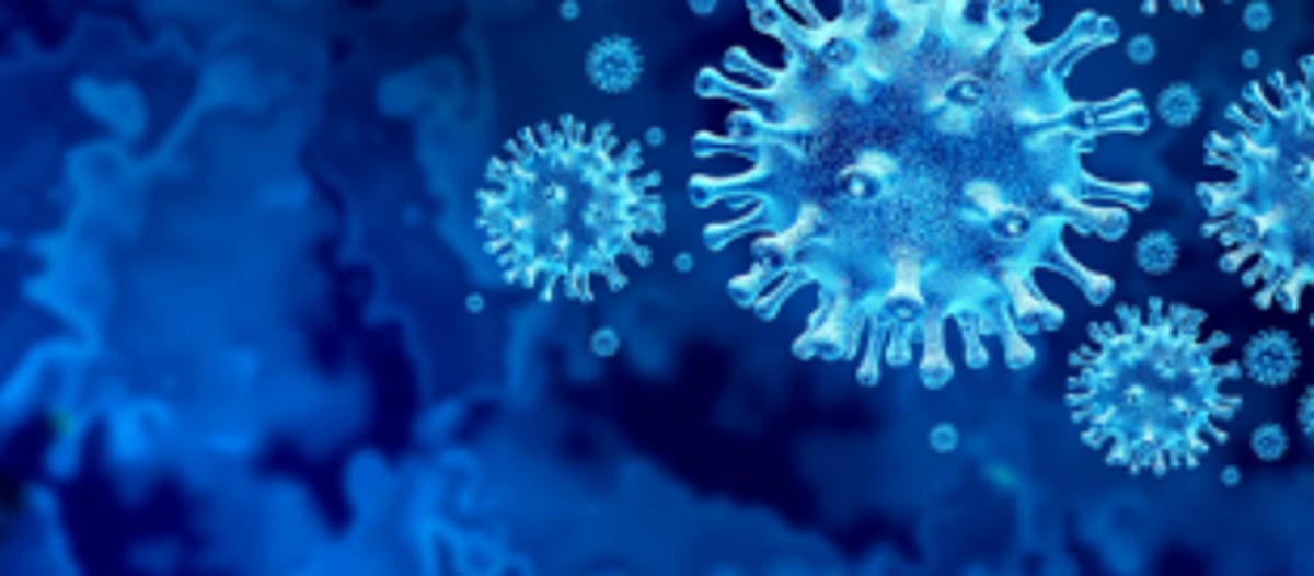 DHS adds another set of late reported   COVID deaths