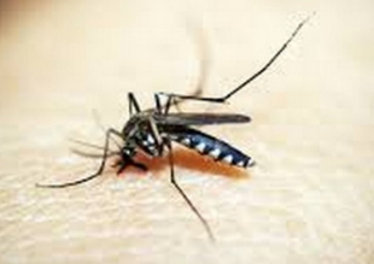 DHS begins preps for  vector-borne diseases