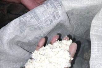 DISGUSTING: Salcete’s ration cardholders shocked to find maggots, mites & fungus in rice