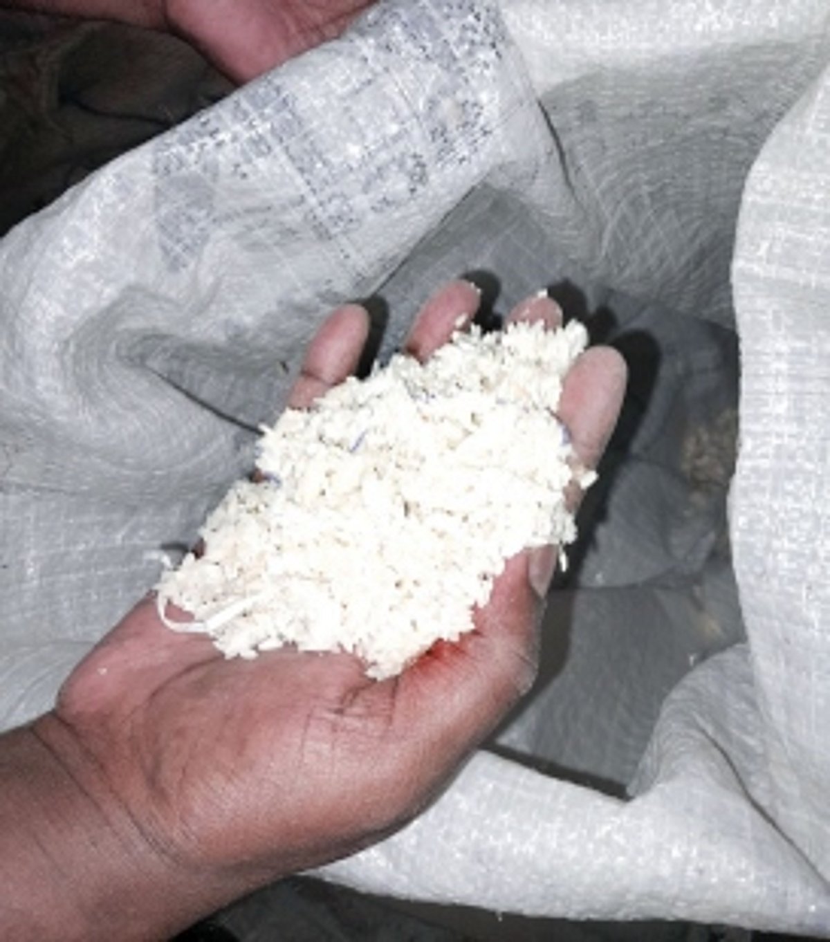 DISGUSTING: Salcete’s ration cardholders shocked to find maggots, mites & fungus in rice
