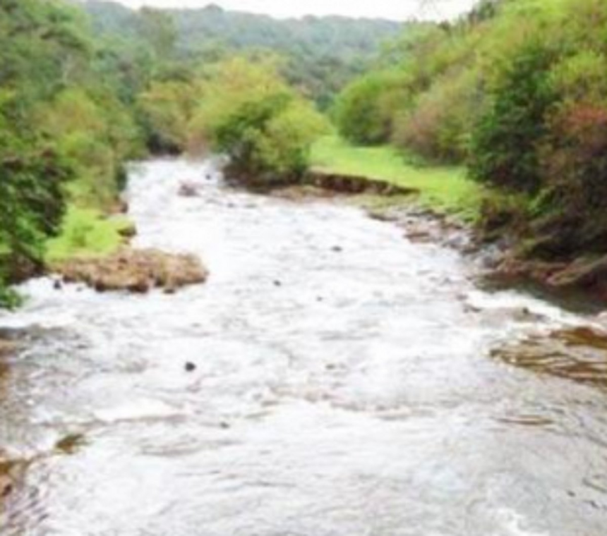 DO GOAN LIVES MATTER?