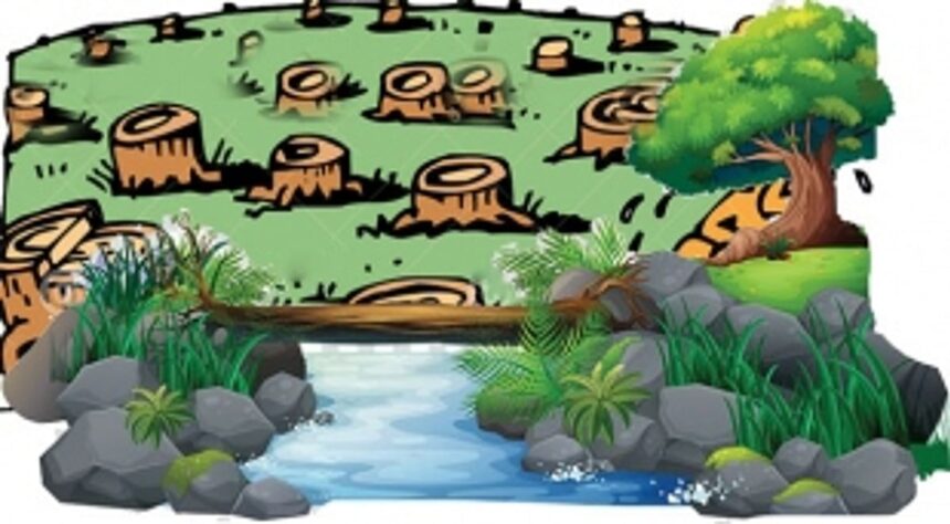 DOUBLE TRACK ATTACK AGAIN: Velsao locals protest, accuse Rly officials of damaging fencing of pvt property