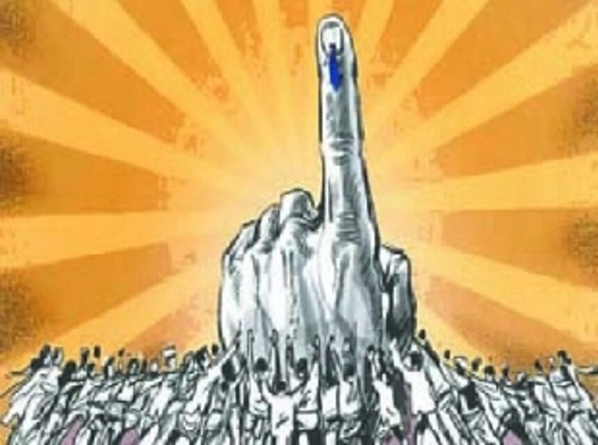 DOWN TO THE GRASSROOTS Politics 1 DOWN TO THE GRASSROOTS Politics