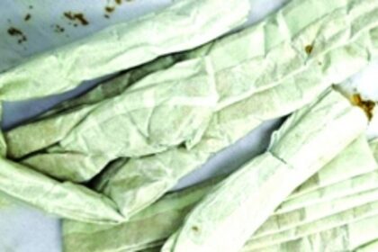 DRI’s Goa Division confiscates gold worth Rs 66 lakh at Mopa Airport