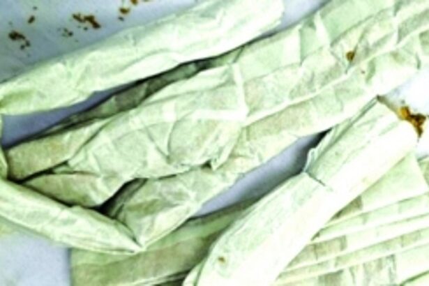 DRI’s Goa Division confiscates gold worth Rs 66 lakh at Mopa Airport