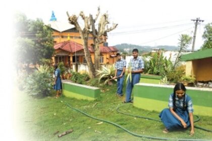 Daddy’s children  grow up