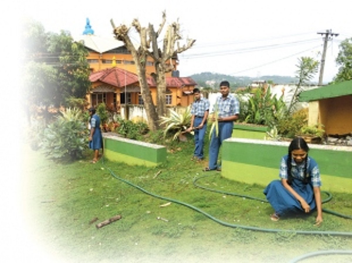 Daddy’s children  grow up