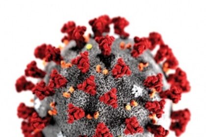 Daily new COVID-19 cases hit three figures again