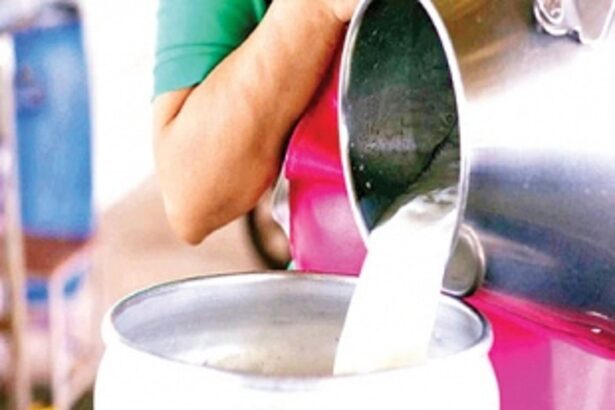 Dairy farmers fearing Doomsday!