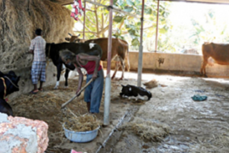 Dairy farmers request CM to dispense long due incentive