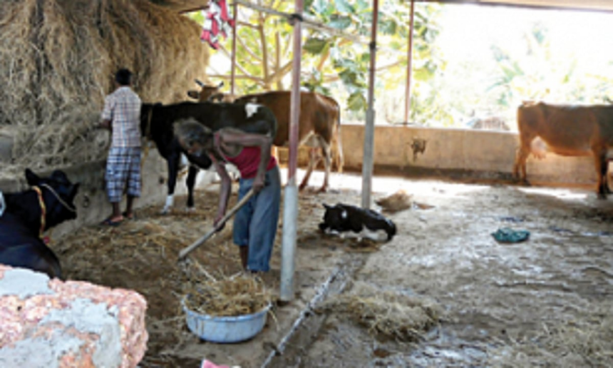 Dairy farmers request CM to dispense long due incentive