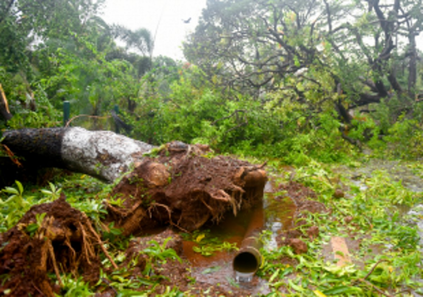Damage assessment to be completed within next 2 to 3 days: North Collector 1 Damage assessment to be completed within next 2 to 3 days: North Collector