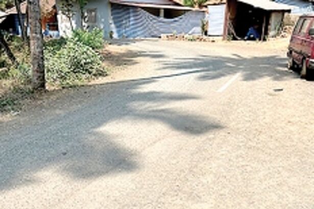 Dando-Mollo road at Velsao in need of repairs
