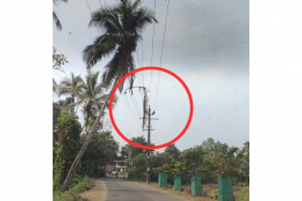 Danger Looms as Coconut Tree Leaves Dangle Over Live Wires for Over Two Months Near St. Teigo Chapel, Chandor