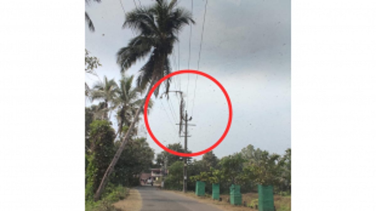 Danger Looms as Coconut Tree Leaves Dangle Over Live Wires for Over Two Months Near St. Teigo Chapel, Chandor
