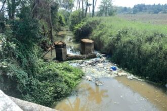 Danvoddem nullah chocked with chicken waste, raw sewage