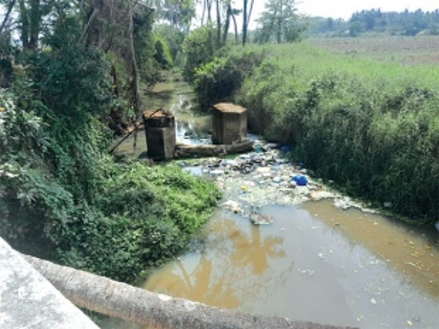 Danvoddem nullah chocked with chicken waste, raw sewage