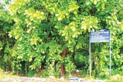 Dark spot alert: Garbage strewn across scenic Mandrem leaves youth fuming