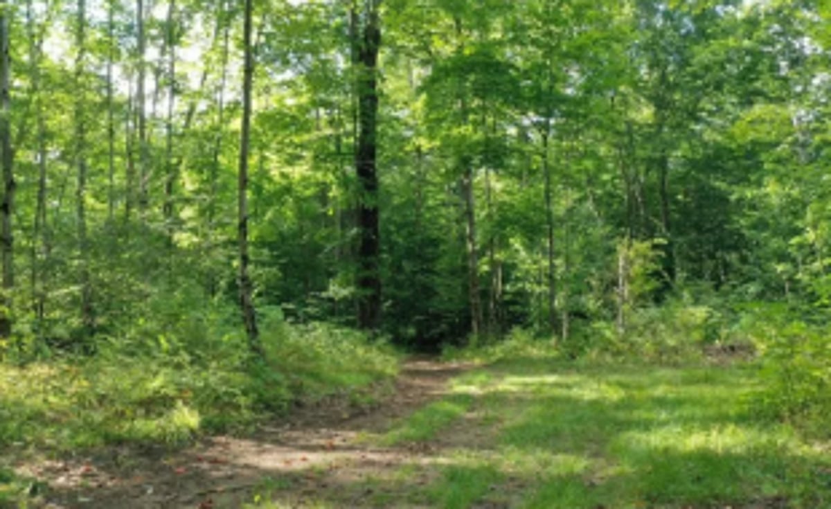 Date extended for filing objections on Private Forest