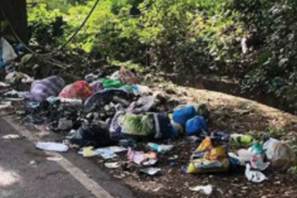 Davorlim locals fear health risk from litter on road