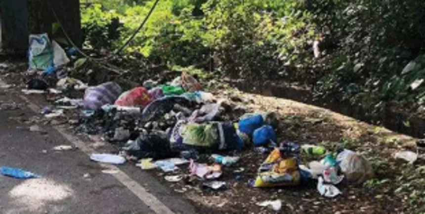 Davorlim locals fear health risk from litter on road