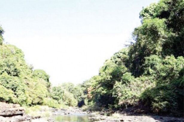 De-grow for generations to grow, say Goa’s greens