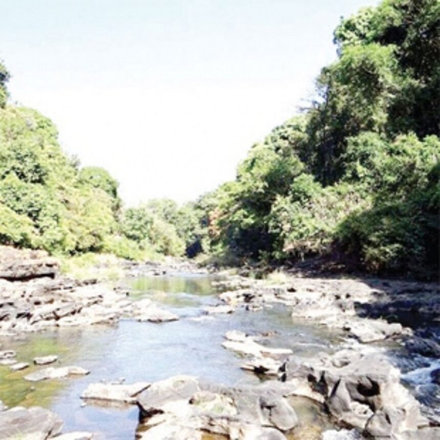 De-grow for generations to grow, say Goa’s greens 1 De-grow for generations to grow, say Goa’s greens