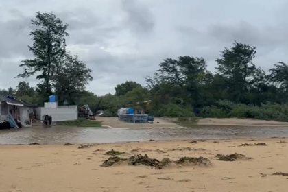 Dead Fish and Water Plants Wash Ashore on Cavelossim-Mobor Beach, Sarpanch Urges Government Action