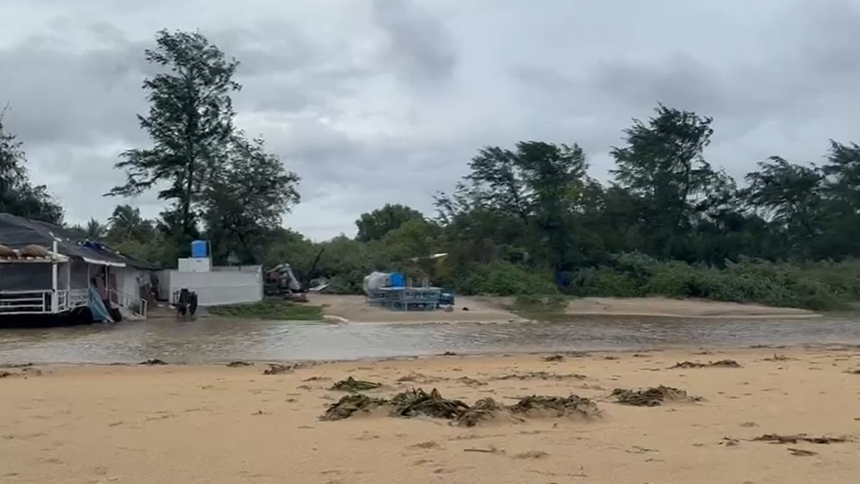 Dead Fish and Water Plants Wash Ashore on Cavelossim-Mobor Beach, Sarpanch Urges Government Action 1 Dead Fish and Water Plants Wash Ashore on Cavelossim-Mobor Beach, Sarpanch Urges Government Action